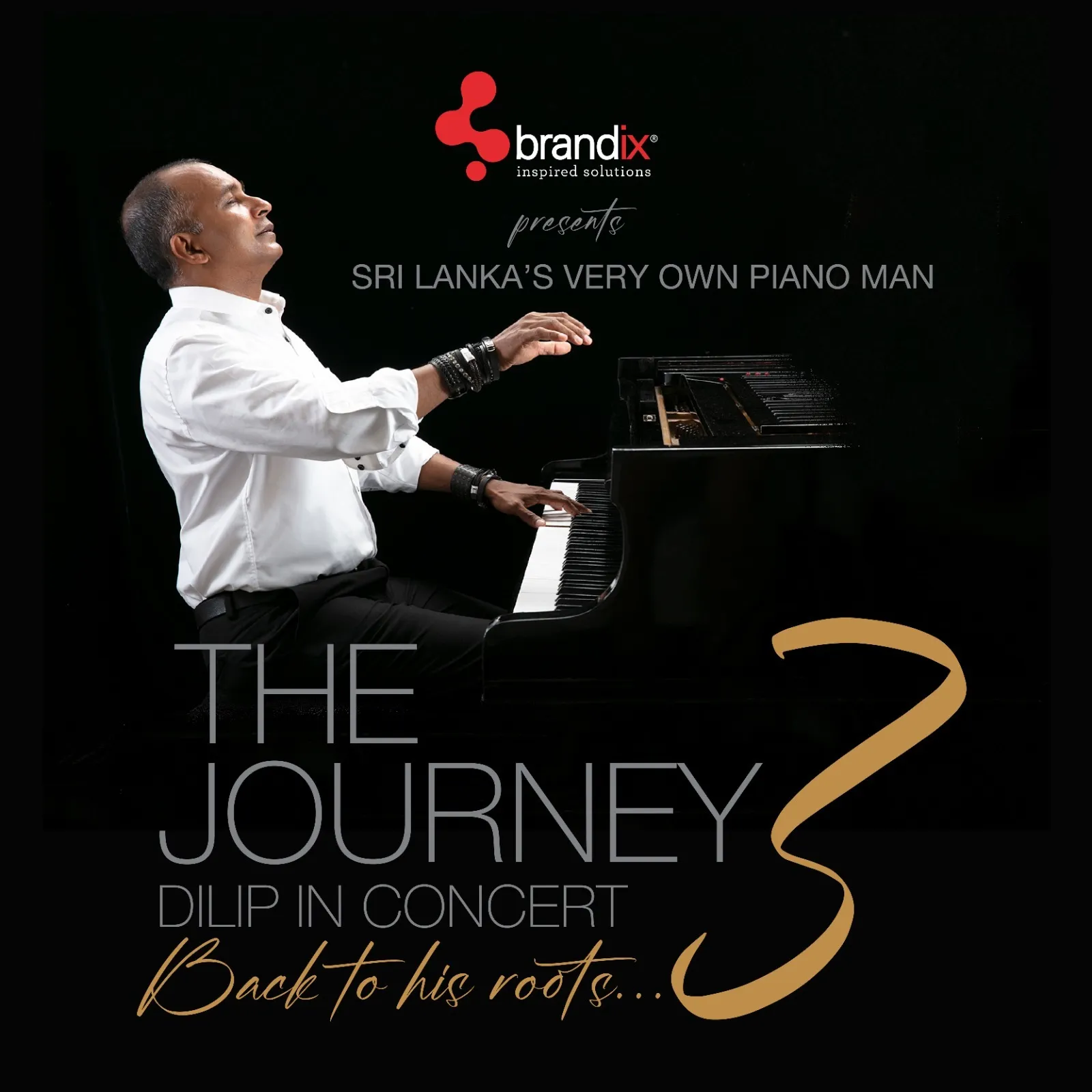 The Journey 3: Dilip in Concert